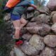 045 Barranc Bosc Serradell RocjumperIMG 20241004 18241