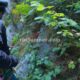 049 Barranc Riquerna Integral Capdella Rocjumper