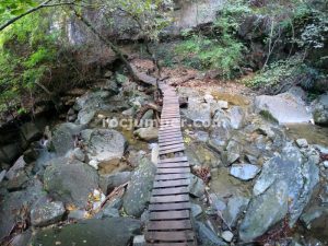 Puente de Madera - Torrrent de les Cavorques Integral - Sant Privat d'en Bas - RocJumper