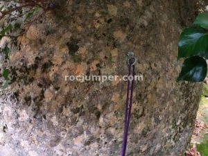 R15 - Barranc de la Riera de Clarà - Avià - RocJumper