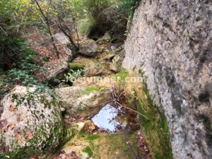 R15 - Barranc de la Riera de Clarà - Avià - RocJumper