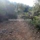 003 Grau Hilari Escales Bruno Arboli Rocjumper