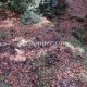 007 Torrent Portelleta Bruguera Rocjumper