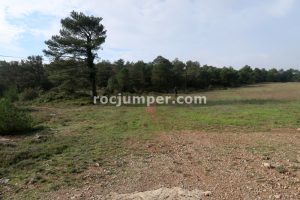 Campo de Cultivo - Camino Equipado Grau del Hilari K2 - Escales del Bruno K2 (Arbolí, Tarragona)