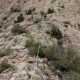 008 Via Savina Wall Paret Formiguera Sant Llorenc Montgai Rocjumper