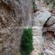 010 Descenso Pared Aeri Montserrat Rocjumper