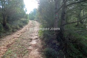 Pista - Camino Equipado Grau del Hilari K2 - Escales del Bruno K2 (Arbolí, Tarragona)