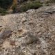 011 Via Savina Wall Paret Formiguera Sant Llorenc Montgai Rocjumper