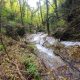 012 Torrent Font Freixe Riera Ogassa Negre Sant Marti Ogassa Rocjumper