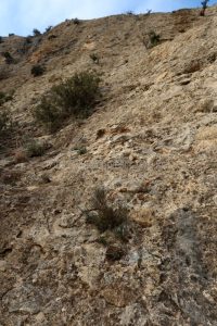 R2 - Vía Savina Wall o de los Jesuses - Paret de la Formiguera - Sant Llorenç de Montgai - RocJumper