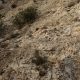 014 Via Savina Wall Paret Formiguera Sant Llorenc Montgai Rocjumper