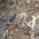 015 Via Savina Wall Paret Formiguera Sant Llorenc Montgai Rocjumper