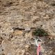 016 Via Savina Wall Paret Formiguera Sant Llorenc Montgai Rocjumper