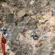 017 Via Savina Wall Paret Formiguera Sant Llorenc Montgai Rocjumper