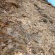 018 Via Savina Wall Paret Formiguera Sant Llorenc Montgai Rocjumper