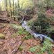 020 Torrent Font Freixe Riera Ogassa Negre Sant Marti Ogassa Rocjumper