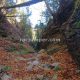 024 Torrent Coll Pal Estrets Can Boix Sant Marti Surroca Rocjumper