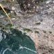 026 Descenso Pared Aeri Montserrat Rocjumper