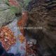 027 Torrent Coll Pal Estrets Can Boix Sant Marti Surroca Rocjumper
