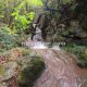 027 Torrent Font Freixe Riera Ogassa Negre Sant Marti Ogassa Rocjumper