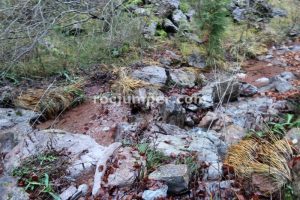 Retorno - Torrent de Portelleta - Bruguera - RocJumper