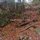 037 Torrent Coll Pal Estrets Can Boix Sant Marti Surroca Rocjumper