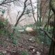 040 Grau Hilari Escales Bruno Arboli Rocjumper