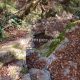 040 Torrent Coll Pal Estrets Can Boix Sant Marti Surroca Rocjumper