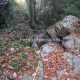 044 Torrent Coll Pal Estrets Can Boix Sant Marti Surroca Rocjumper