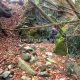 048 Torrent Coll Pal Estrets Can Boix Sant Marti Surroca Rocjumper