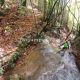 048 Torrent Font Freixe Riera Ogassa Negre Sant Marti Ogassa Rocjumper