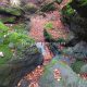 049 Torrent Coll Pal Estrets Can Boix Sant Marti Surroca Rocjumper