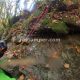 049 Torrent Font Freixe Riera Ogassa Negre Sant Marti Ogassa Rocjumper