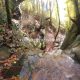 050 Torrent Font Freixe Riera Ogassa Negre Sant Marti Ogassa Rocjumper