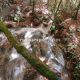 060 Torrent Font Freixe Riera Ogassa Negre Sant Marti Ogassa Rocjumper