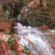 064 Torrent Font Freixe Riera Ogassa Negre Sant Marti Ogassa Rocjumper