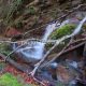 071 Torrent Font Freixe Riera Ogassa Negre Sant Marti Ogassa Rocjumper