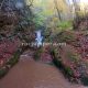 072 Torrent Font Freixe Riera Ogassa Negre Sant Marti Ogassa Rocjumper