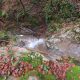 077 Torrent Font Freixe Riera Ogassa Negre Sant Marti Ogassa Rocjumper