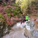 085 Torrent Font Freixe Riera Ogassa Negre Sant Marti Ogassa Rocjumper