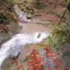 086 Torrent Font Freixe Riera Ogassa Negre Sant Marti Ogassa Rocjumper