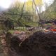 089 Torrent Font Freixe Riera Ogassa Negre Sant Marti Ogassa Rocjumper