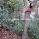 091 Grau Hilari Escales Bruno Arboli Rocjumper