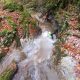095 Torrent Font Freixe Riera Ogassa Negre Sant Marti Ogassa Rocjumper