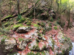 r8 - Riera d'Ogassa- Sant Martí d'Ogassa - RocJumper