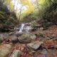 105 Torrent Font Freixe Riera Ogassa Negre Sant Marti Ogassa Rocjumper