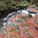 107 Torrent Font Freixe Riera Ogassa Negre Sant Marti Ogassa Rocjumper