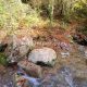 109 Torrent Font Freixe Riera Ogassa Negre Sant Marti Ogassa Rocjumper