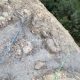 012 Via Itaca Moles Don Arnes Rocjumper