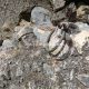 017 Via Itaca Moles Don Arnes Rocjumper